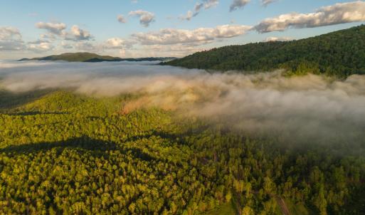 DJI_20250505071624_0012_D