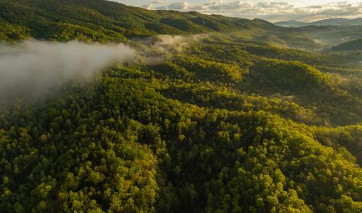 DJI_20250505071637_0013_D