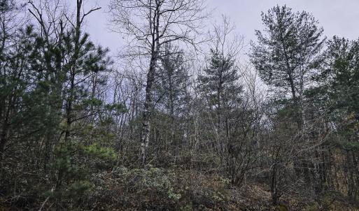 Giddens_Craig Co-13