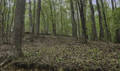 Evans_Albemarle Co-09