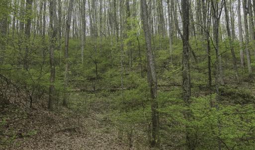 Evans_Albemarle Co-14