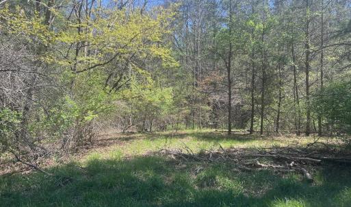 St Clair .75 ac pics - 13