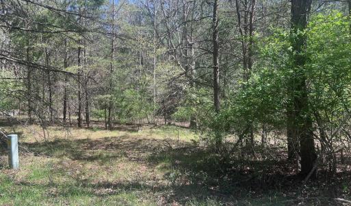 St Clair .75 ac pics - 14