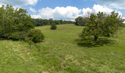 Pastures