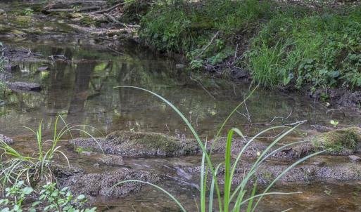 Stream