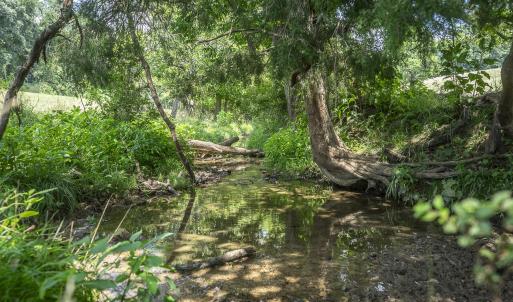 Stream