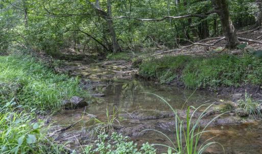Stream
