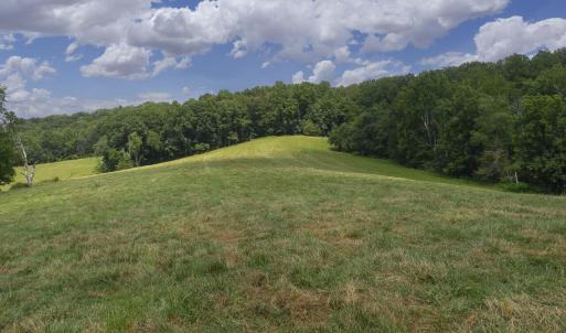 Pasture
