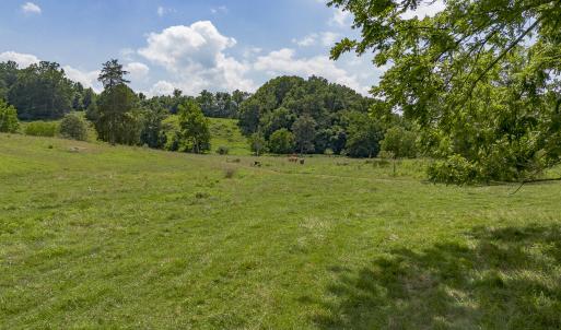 Pasture