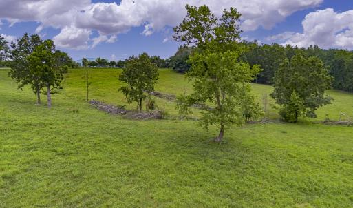 MLS 534 The Knob Road-9