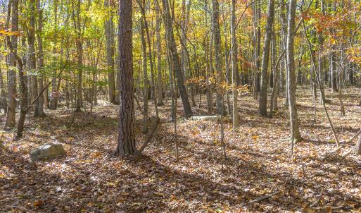 MLS Calle Mine Road Land-7