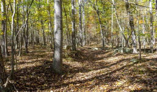 MLS Calle Mine Road Land-8