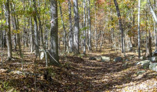 MLS Calle Mine Road Land-9