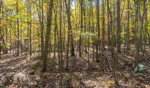 MLS Calle Mine Road Land-10