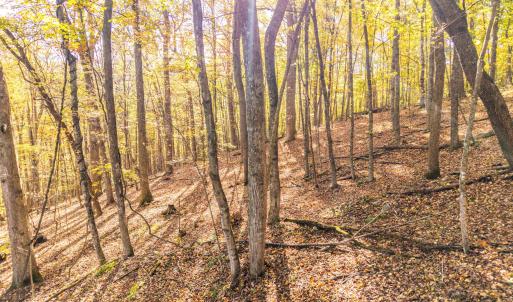 DJI_20251015100734_0046_D