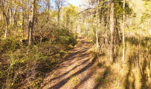 DJI_20251015101513_0051_D