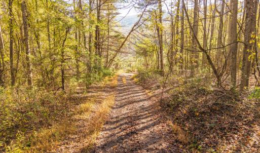 DJI_20251015101617_0054_D