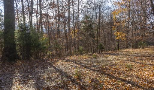 Driveway to Building Site