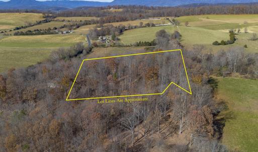 Wooded Aerial View
