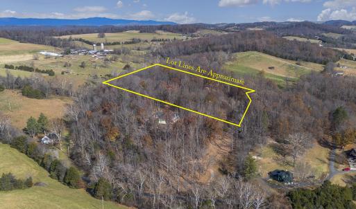 Wooded Aerial View