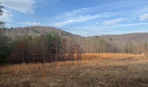 Morris TBD Little River Rd Lead Pic