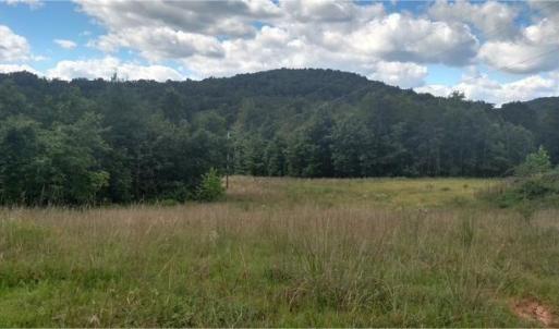 Morris TBD Little River Rd Lead Pic.2