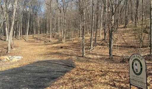 Sheep Meadow Lot #101