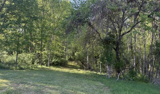 Wooded Area