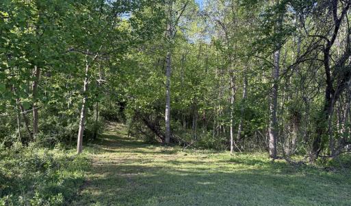 Wooded Area