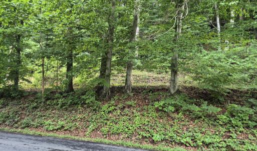 TBD Blue Ridge Road