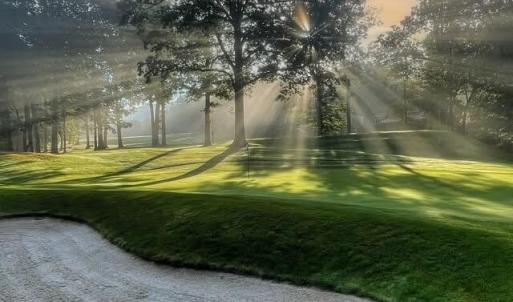 Cascades Golf Course under Morning Mist