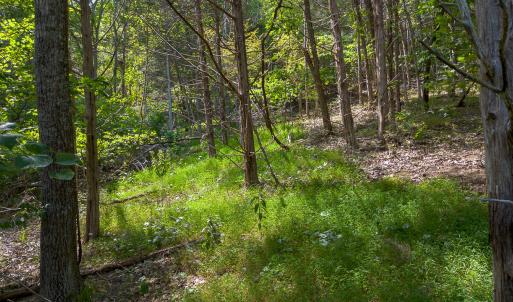 MLS Hollow Lane-13