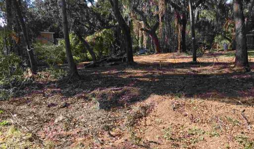 Photo #1 of Ocean Highway, Pawleys Island, SC 1.5 acres