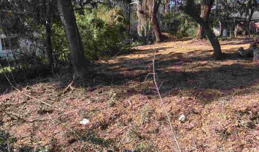 Photo #6 of Ocean Highway, Pawleys Island, SC 1.5 acres