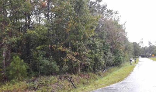 Photo #6 of Tract 1 Highway 9, Little River, SC 61.7 acres