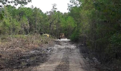 Photo #31 of Tract 1 Highway 9, Little River, SC 61.7 acres