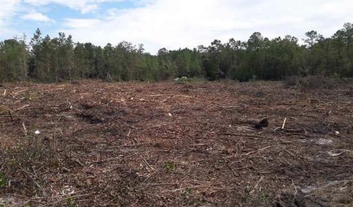 Photo #25 of Tract 1 Highway 9, Little River, SC 61.7 acres