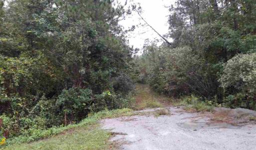Photo #5 of Tract 1 Highway 9, Little River, SC 61.7 acres