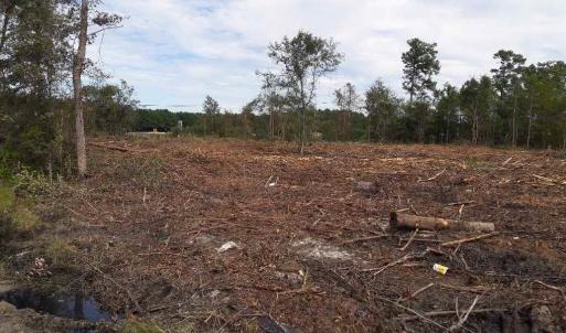 Photo #25 of Tract 1 Highway 9, Little River, SC 61.7 acres