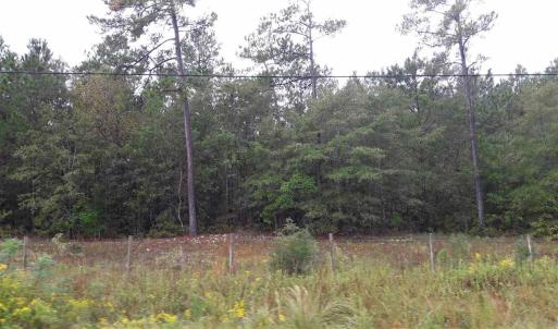 Photo #12 of Tract 1 Highway 9, Little River, SC 61.7 acres