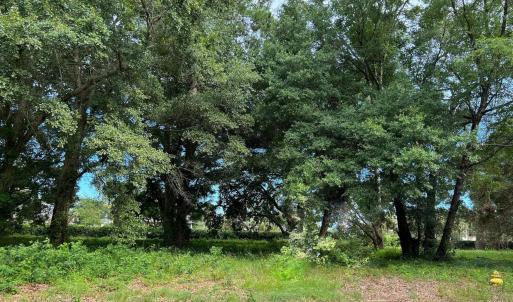 Photo #1 of Portion Wall St., Pawleys Island, SC 0.5 acres