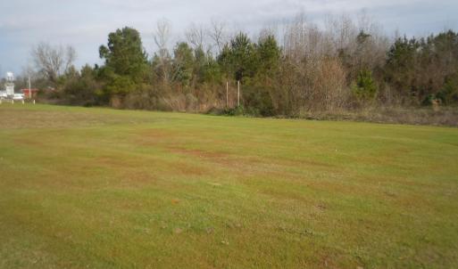 Mollie Road Pics 005