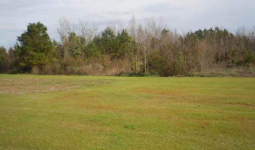 Mollie Road Pics 007