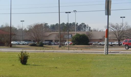 Mollie Road Pics 010