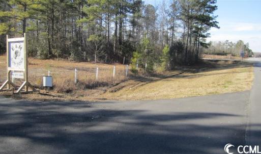 Photo #3 of 1244 Highway 9, Loris, SC 1.7 acres