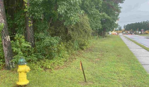 Photo #3 of 2626 Highway 378, Conway, SC 0.9 acres