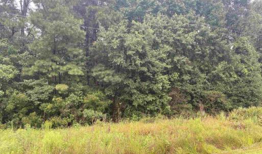 Photo #2 of 2626 Highway 378, Conway, SC 0.9 acres