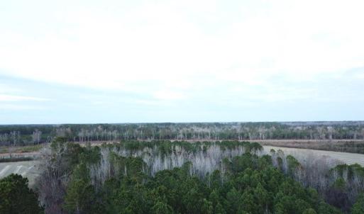 Photo #6 of TBD Highway 76, Marion, SC 6.5 acres