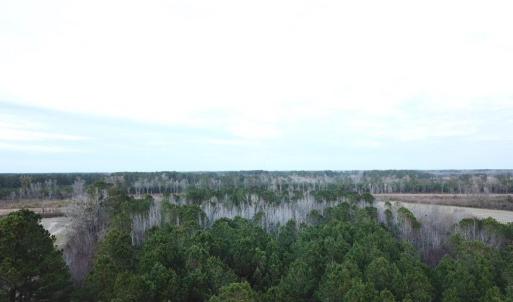 Photo #4 of TBD Highway 76, Marion, SC 6.5 acres