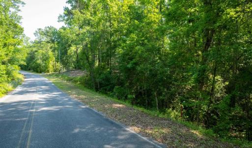 Photo #5 of TBD Francis Marion Dr., Georgetown, SC 3.3 acres